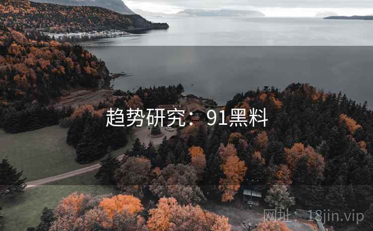 趋势研究：91黑料