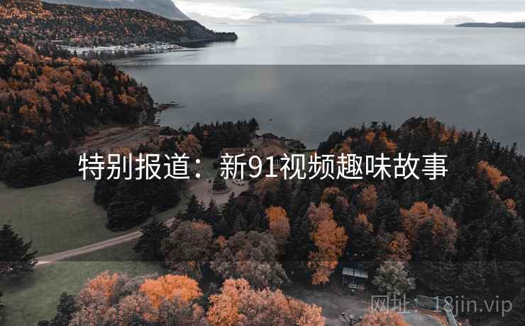 特别报道：新91视频趣味故事