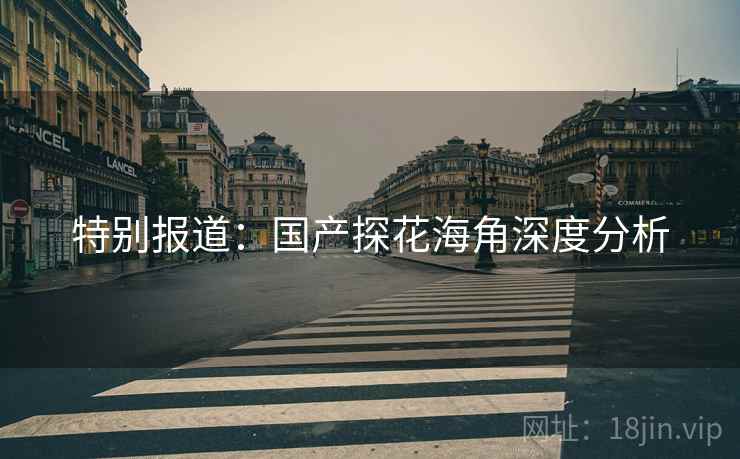 特别报道：国产探花海角深度分析
