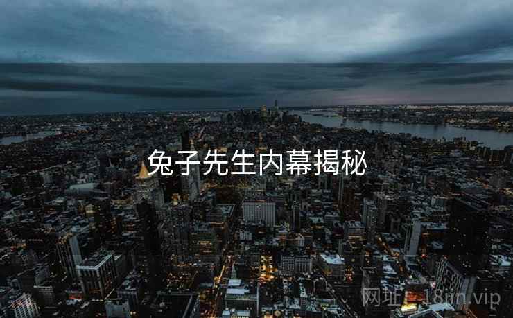 兔子先生内幕揭秘