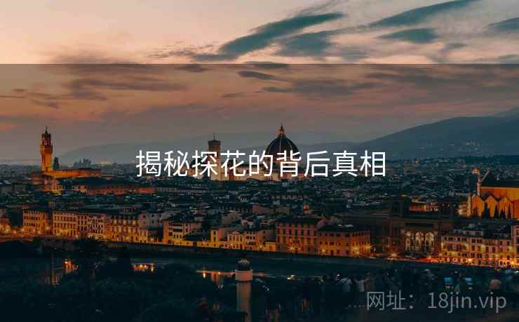 揭秘探花的背后真相