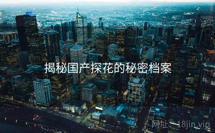 揭秘国产探花的秘密档案