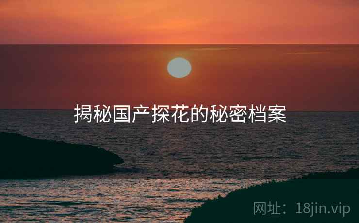 揭秘国产探花的秘密档案