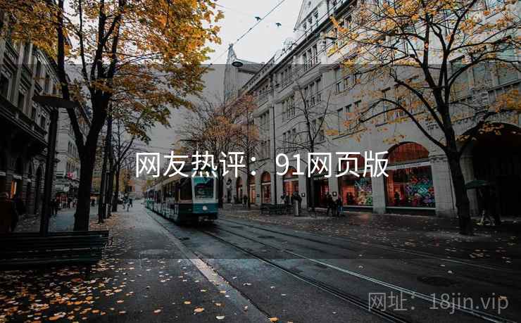 网友热评：91网页版