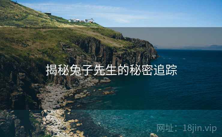 揭秘兔子先生的秘密追踪