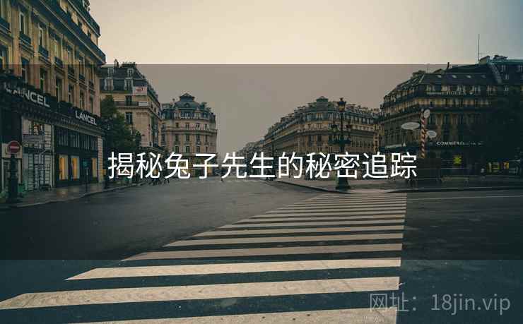 揭秘兔子先生的秘密追踪