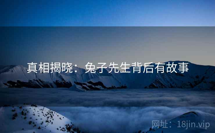真相揭晓：兔子先生背后有故事