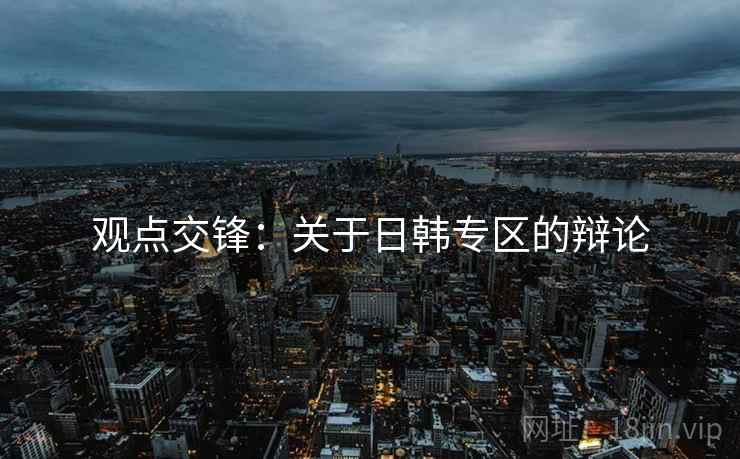 观点交锋：关于日韩专区的辩论