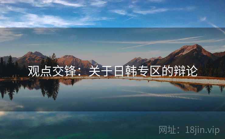 观点交锋：关于日韩专区的辩论