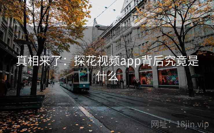 真相来了：探花视频app背后究竟是什么
