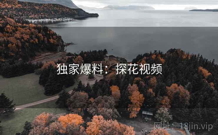 独家爆料：探花视频