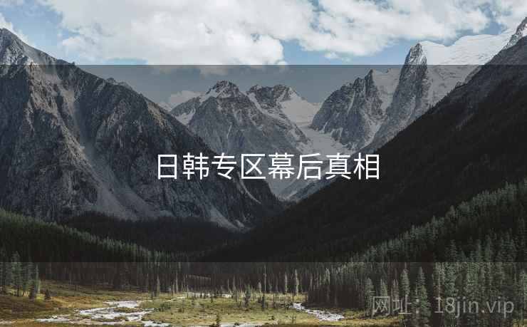 日韩专区幕后真相