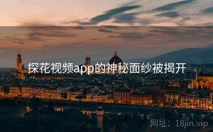 探花视频app的神秘面纱被揭开