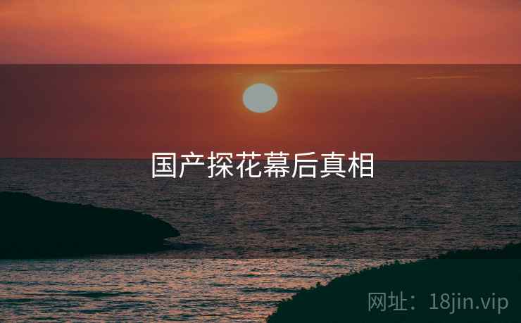国产探花幕后真相