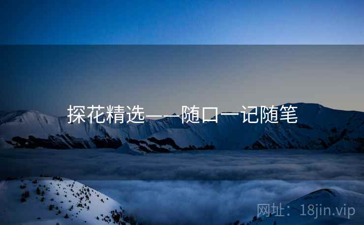探花精选——随口一记随笔