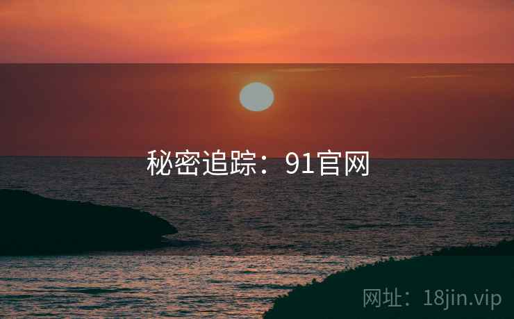 秘密追踪：91官网