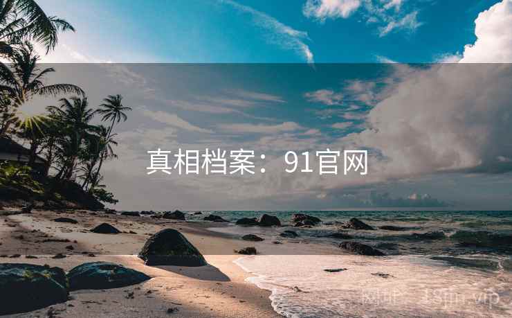 真相档案：91官网