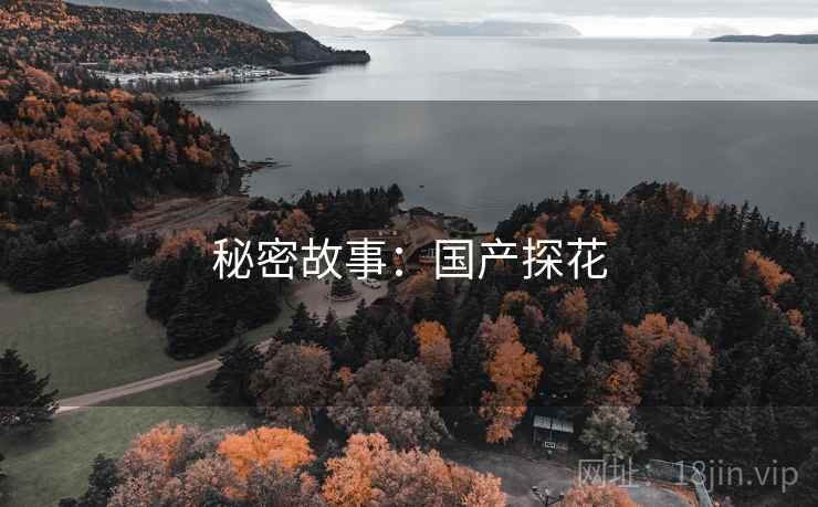秘密故事：国产探花