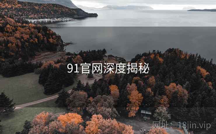 91官网深度揭秘