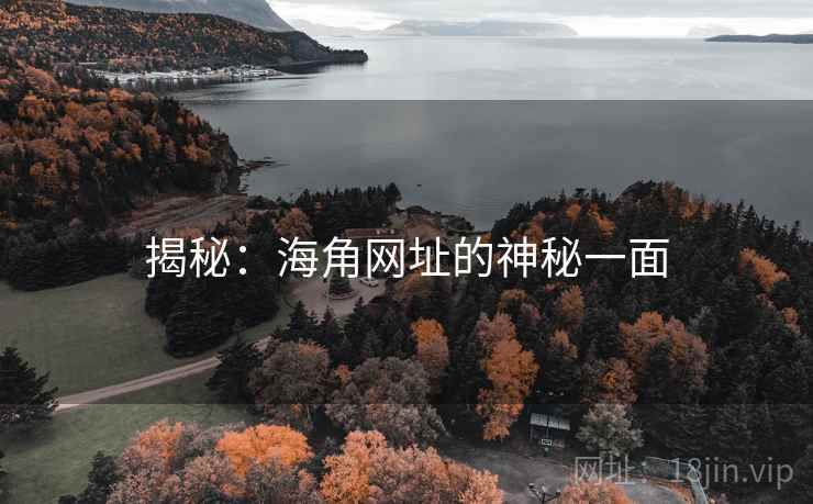 揭秘：海角网址的神秘一面